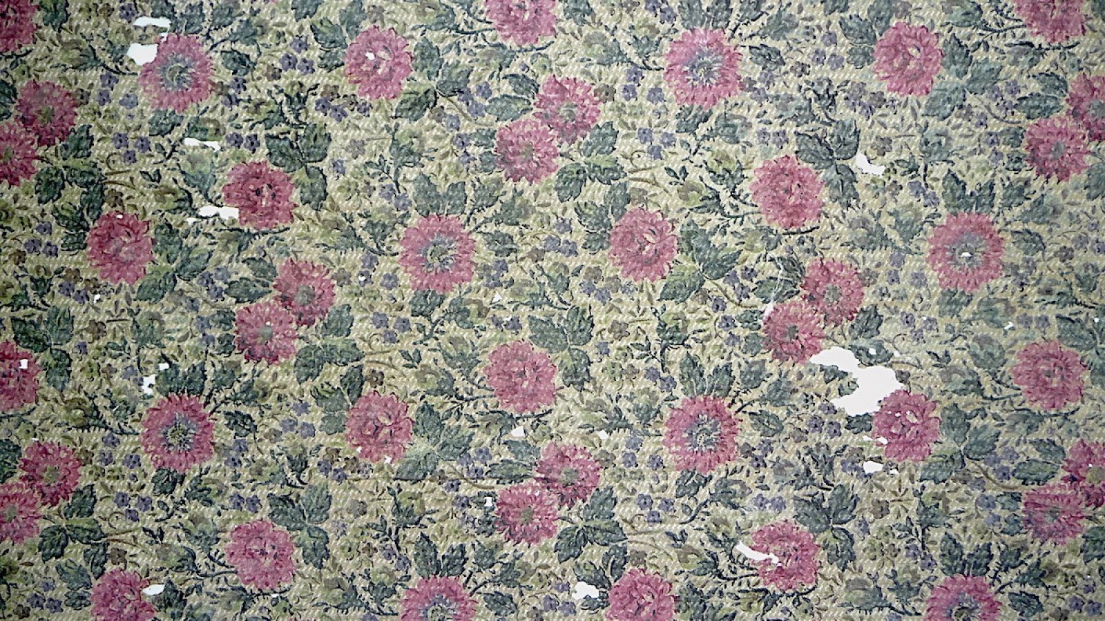 Original wallpaper extant during Hedd Wyn’s occupancy