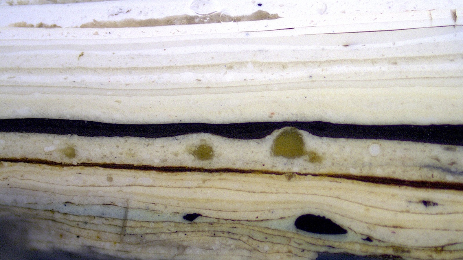 Paint Cross Section