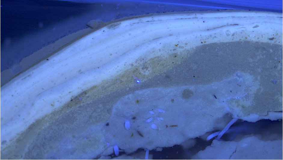 Analysing paint samples under UV light